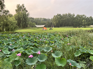 plants in Shenyang