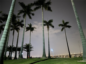 Plants in Xiamen
