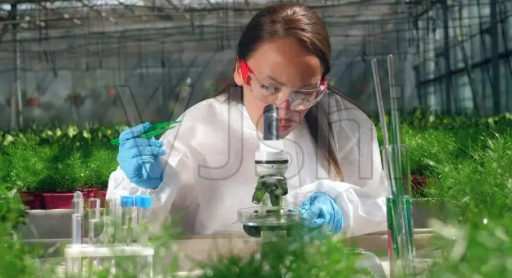 female scientist who are studying plants.png