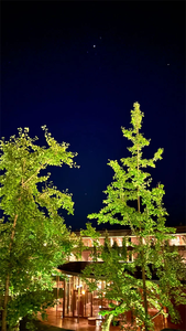 Plants in Changbai mountain